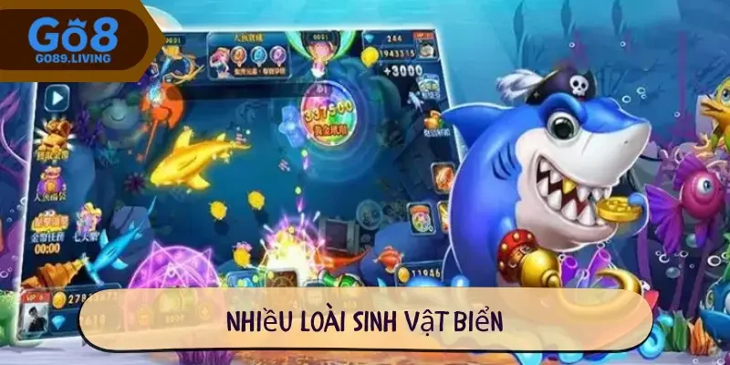 Nhiều loài sinh vật biển